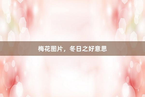 梅花图片，冬日之好意思